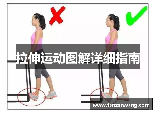 拉伸运动图解详细指南